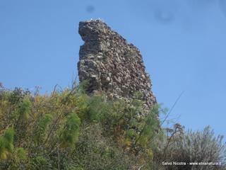 stello di Pentefur-27-04-2016 22-28-33
